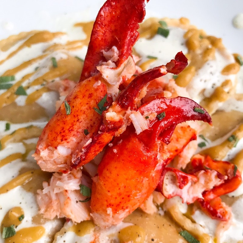Brown butter sage poached lobster w/ pumpkin ravioli, butternut puree & béchamel sauce