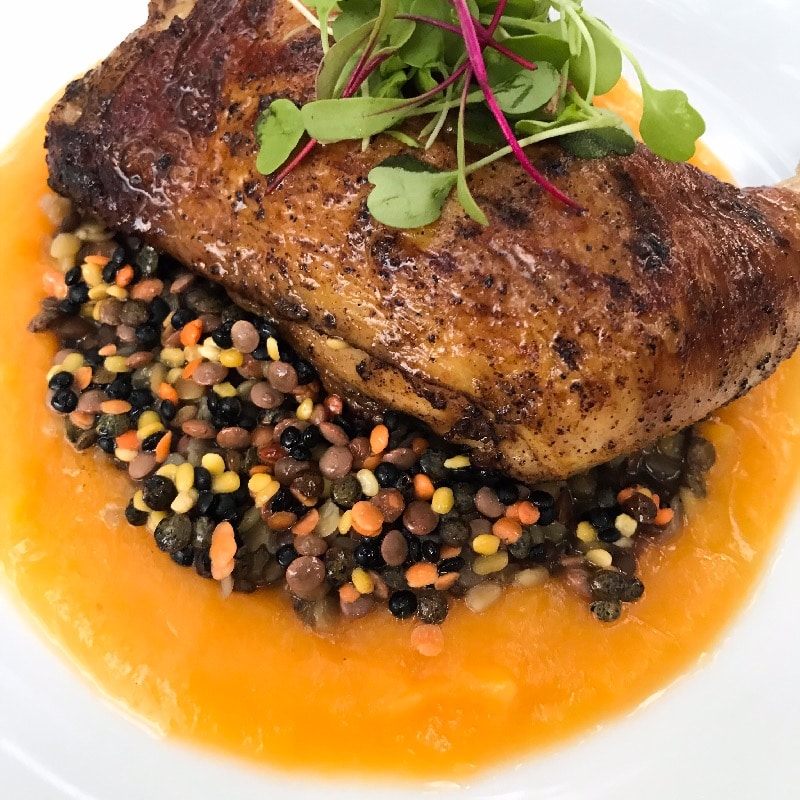 Roasted chicken w/ tri color lentils & butternut puree