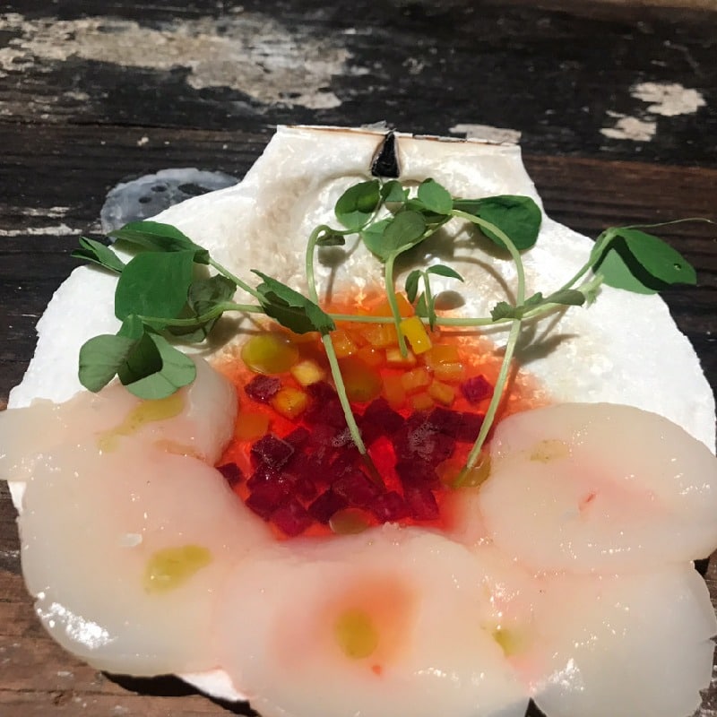 Scallop Crudo 