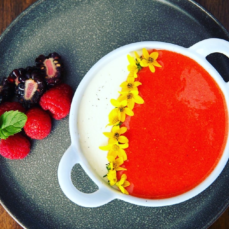 panna cotta