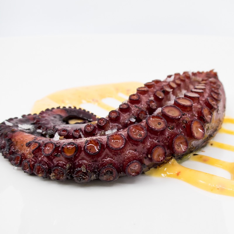 Grilled Octopus