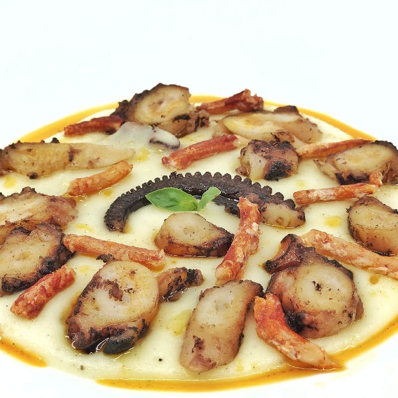 21st Century Octopus